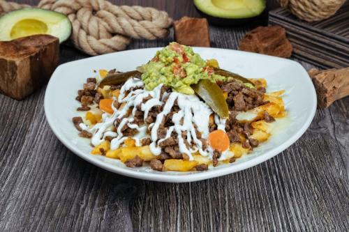 CARNE ASADA FRIES